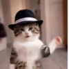 Michael Jackson animados  8