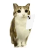 ᱙᱙   ˳   Meowl   ׅ   𐀴᷼𐀴 18