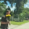 Entrega de flores amarillas 🌻 12