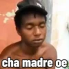 Varios gata 22