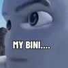 MY BINI....