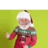Quem é você no NATAL? 21