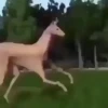 Случайный: PT1 28