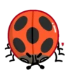 Catarina 1 🐞 5
