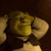 Shrek Time🟢✨ 12
