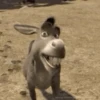 Aleatorios  10