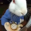⏱️🐰 Conejo con reloj 2 🐰⏱️ 14