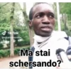 Mimmo Modem Vari #4 30