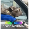BUONANOTTE BUONGIORNO  24