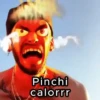Pinchi calorrr