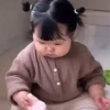 Tao tao 6