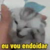 eu vou endoidar