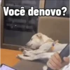 Doguinhos Animados🐶 8