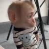 Monitos bonitos🥰❤️💗💖💕✨🙈🍌 7