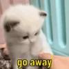go away