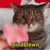 mindblown