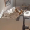 Gatos funny Cats 😹🐈🐈‍⬛ 8