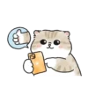 Meme Kucing Bucin Couple Cat 9