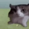 🎵 TIKTOKeando 38🎵 28