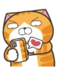 Happy Cat GIF 😸 8