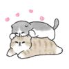 Meme Kucing Bucin Couple Cat 7