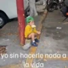 Bebés y niños Reacciones 10