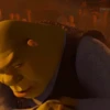 Memes 6