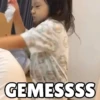 GEMESSSS