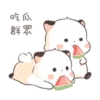 Little cute fatty cat 20