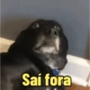 Doguinhos Animados🐶 7