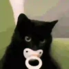 Gatos cura depresión😻animado 10