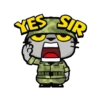 Meow 1 14