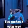 Tus sueños a volar wey