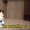 I'm watching u!