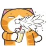 Happy Cat GIF 😸 11