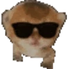 Gatos XD 😎 19
