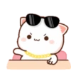 Love peach Mochi cat love  16
