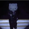 Hello Kitty 🎀 meme 💖 15