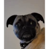 fi