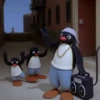 Pingu 13