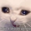 Já foi pra academia hoje? 👁️ 15