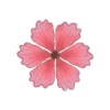 Plants and Flowers🌺🪴 19