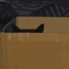 Gato 9