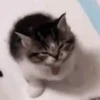 😡 YA ME ENOJÉ!!! 💢 7