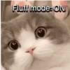 Everyday Cats 🐈‍⬛ 13