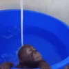 Macaquinhos 🐒 27