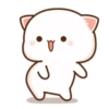 Peach cat 3  17
