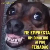 Feriado 6