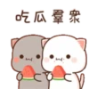Love peach Mochi cat love  19