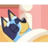 Bluey 18